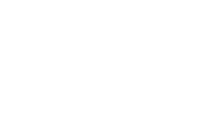 Savteknology Logo